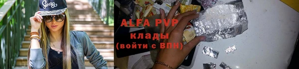СК Белокуриха