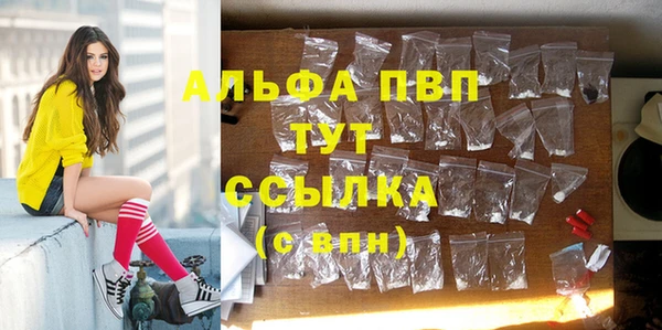 прущая мука Богданович
