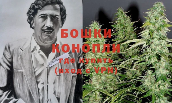 прущая мука Богданович
