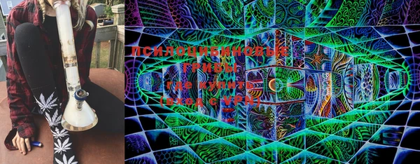 прущая мука Богданович